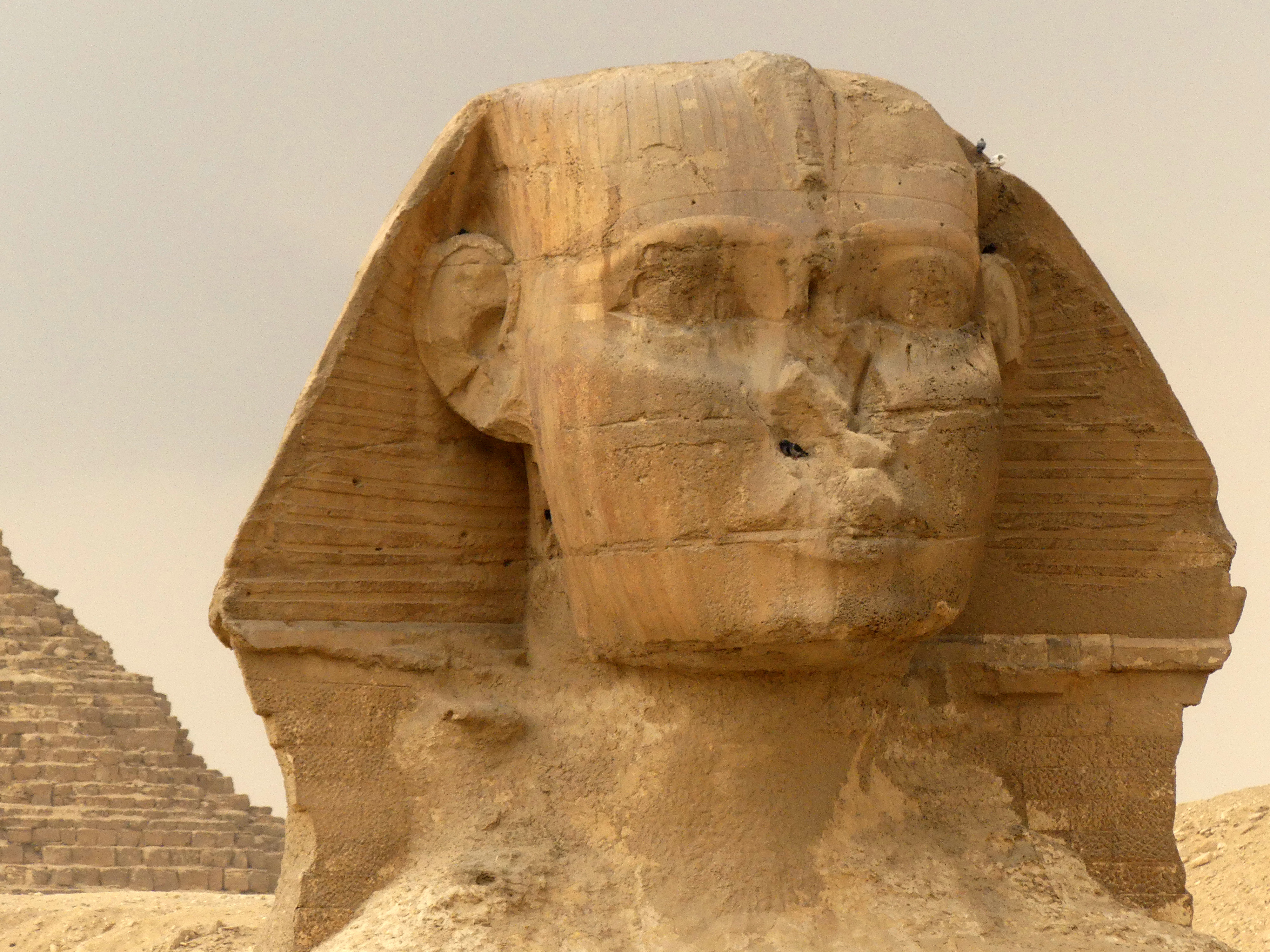Sphinx face
