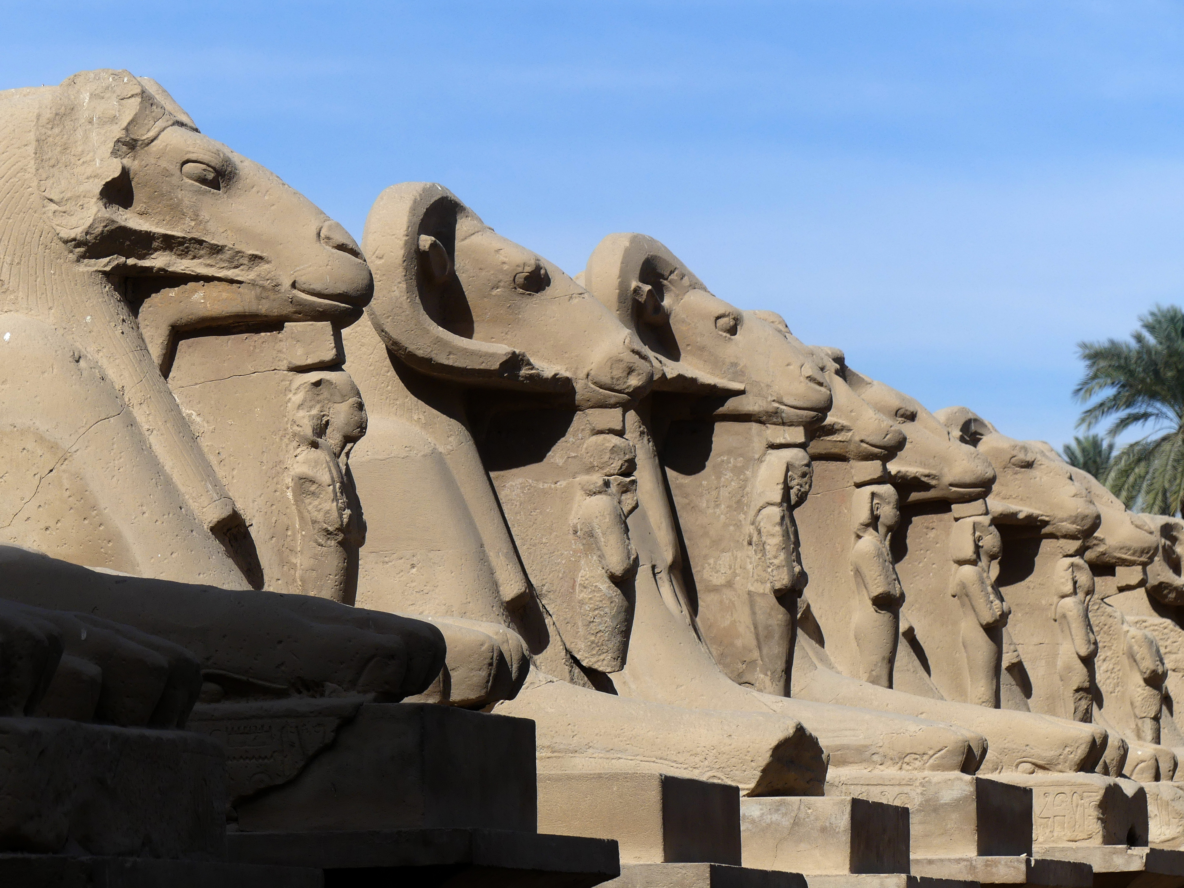 ram-headed sphinxes
