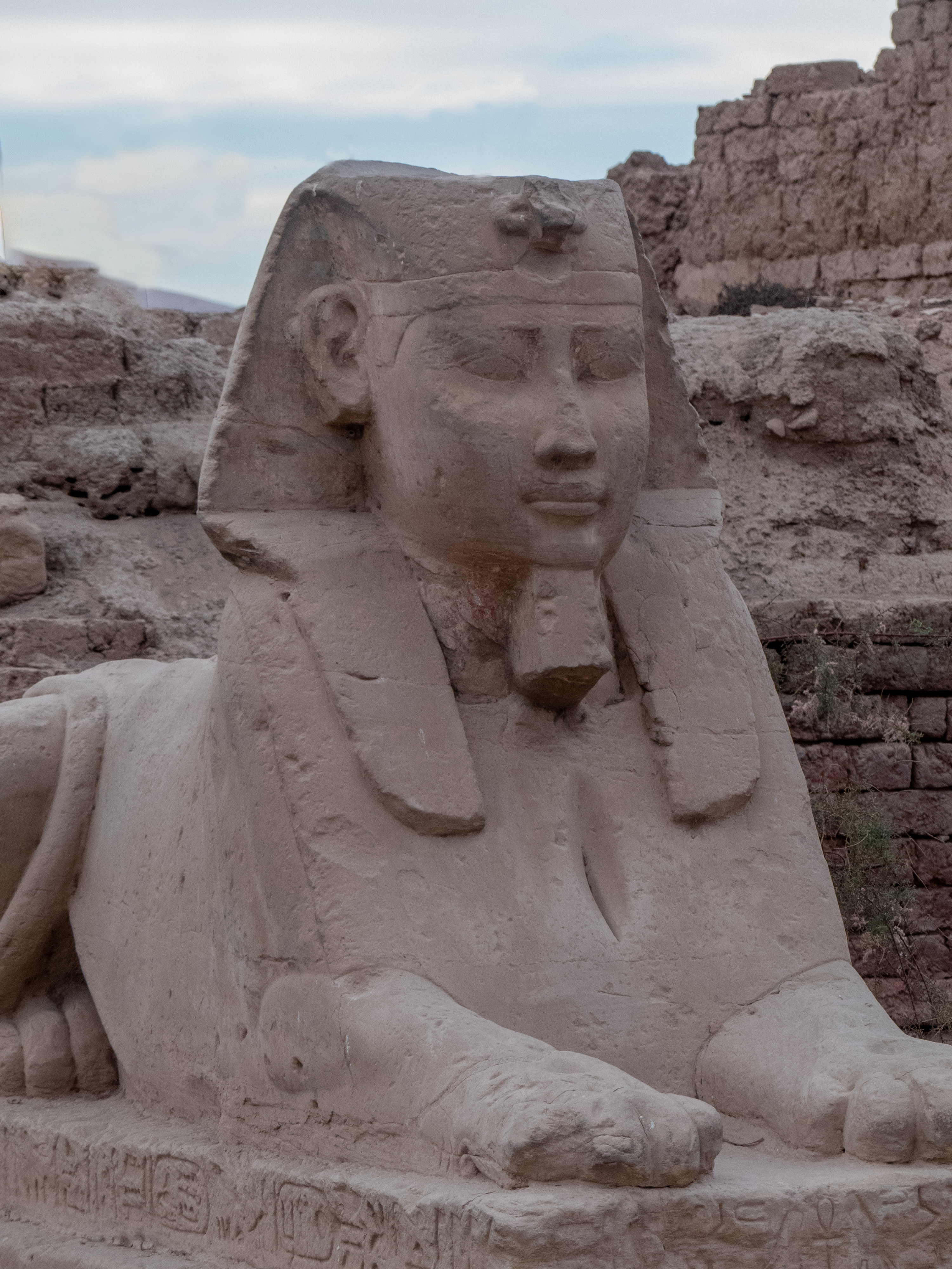 sphinx