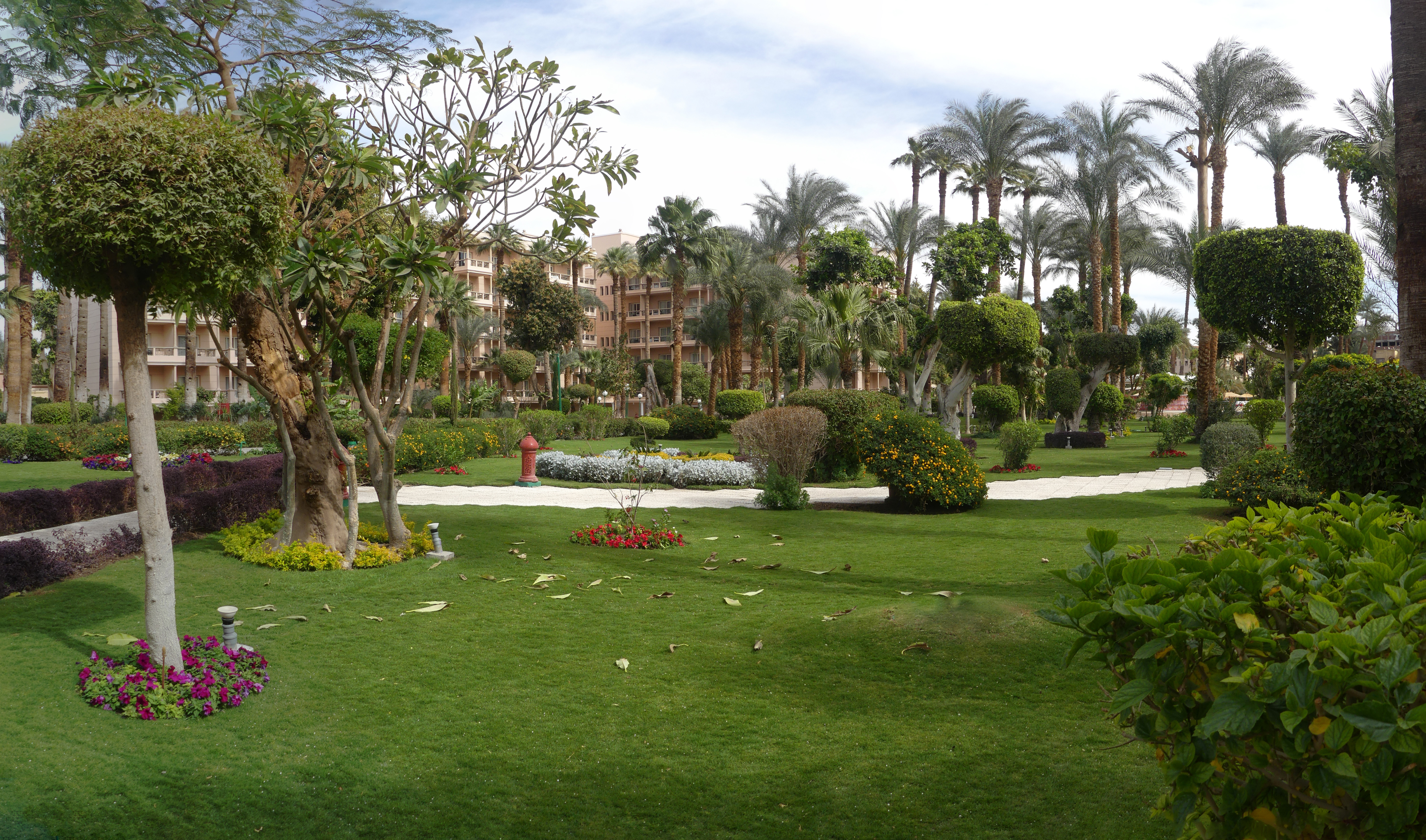 Winter Palace garden panorama