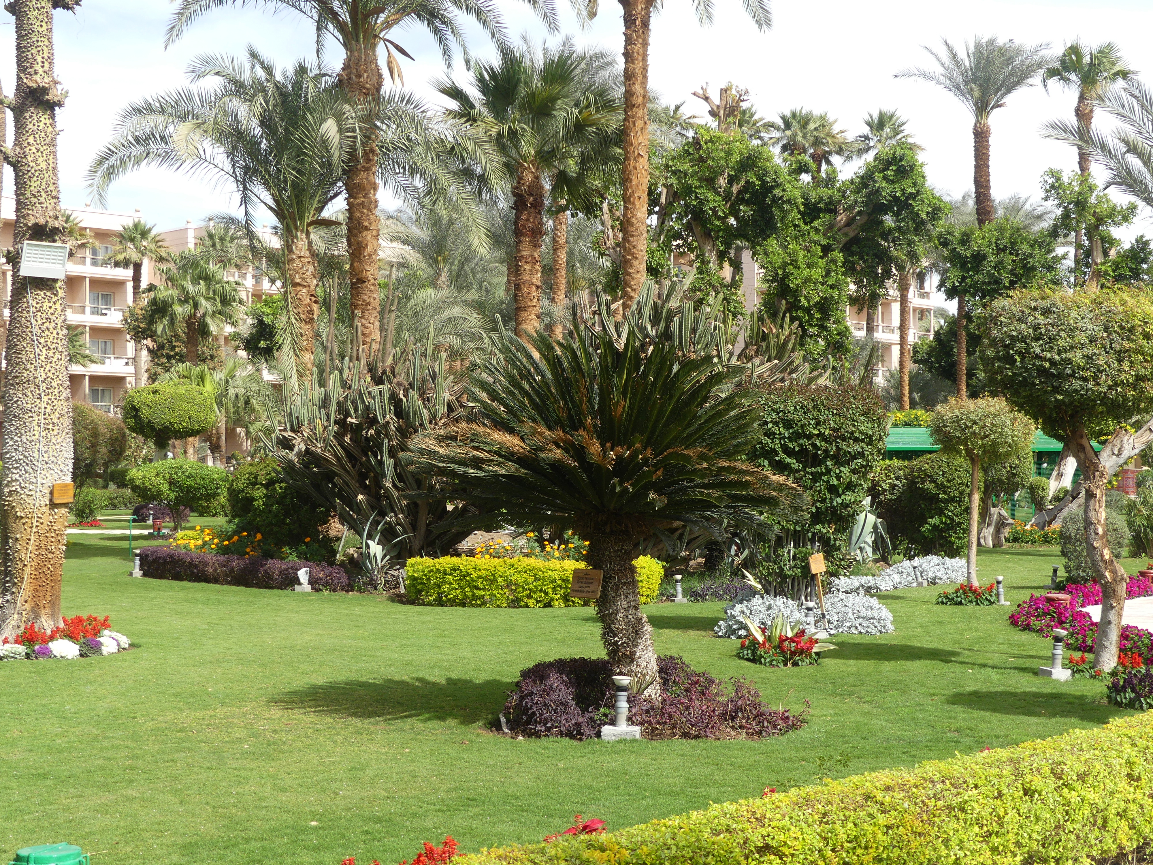 garden