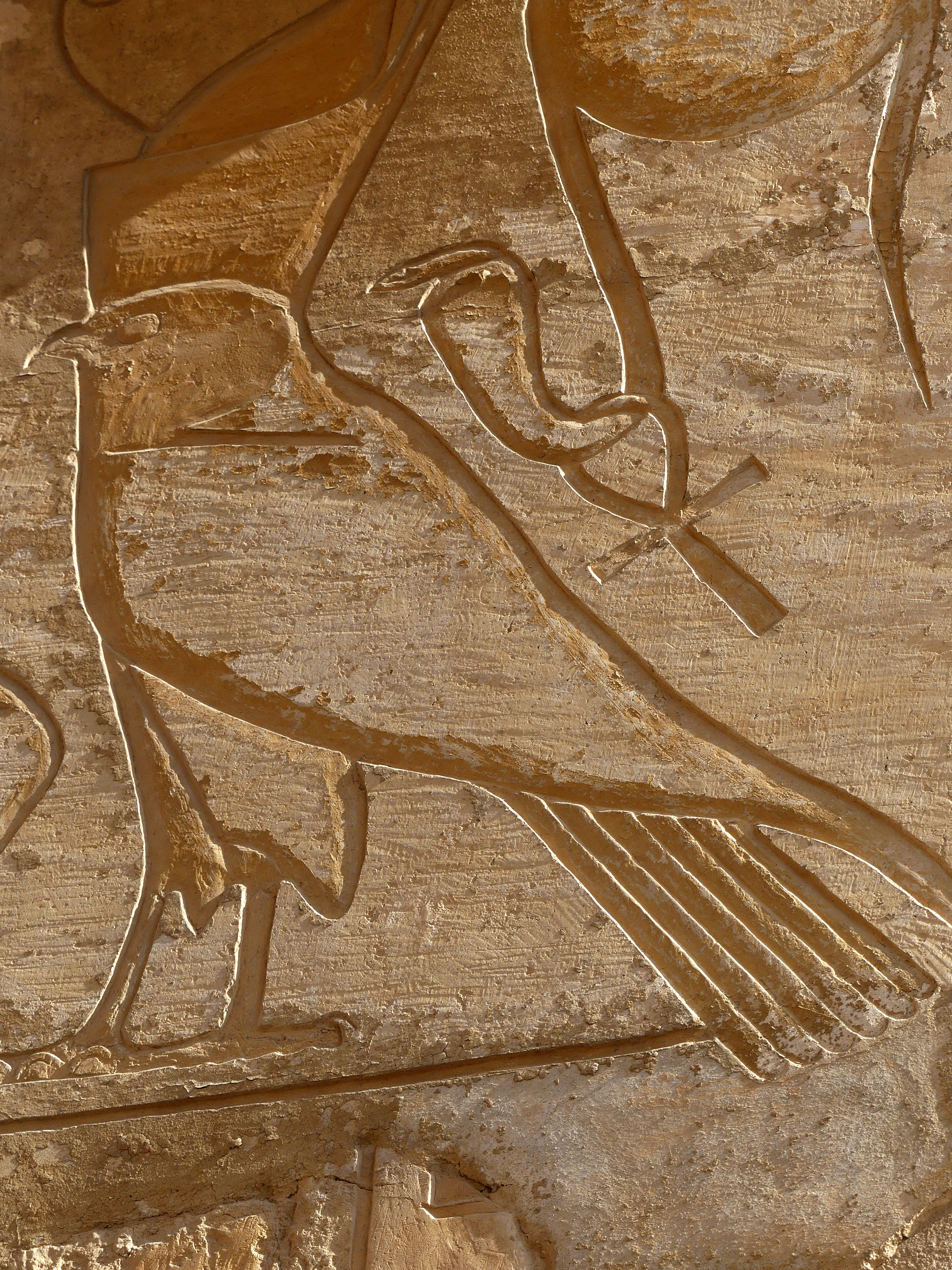 Hathor capital column detail