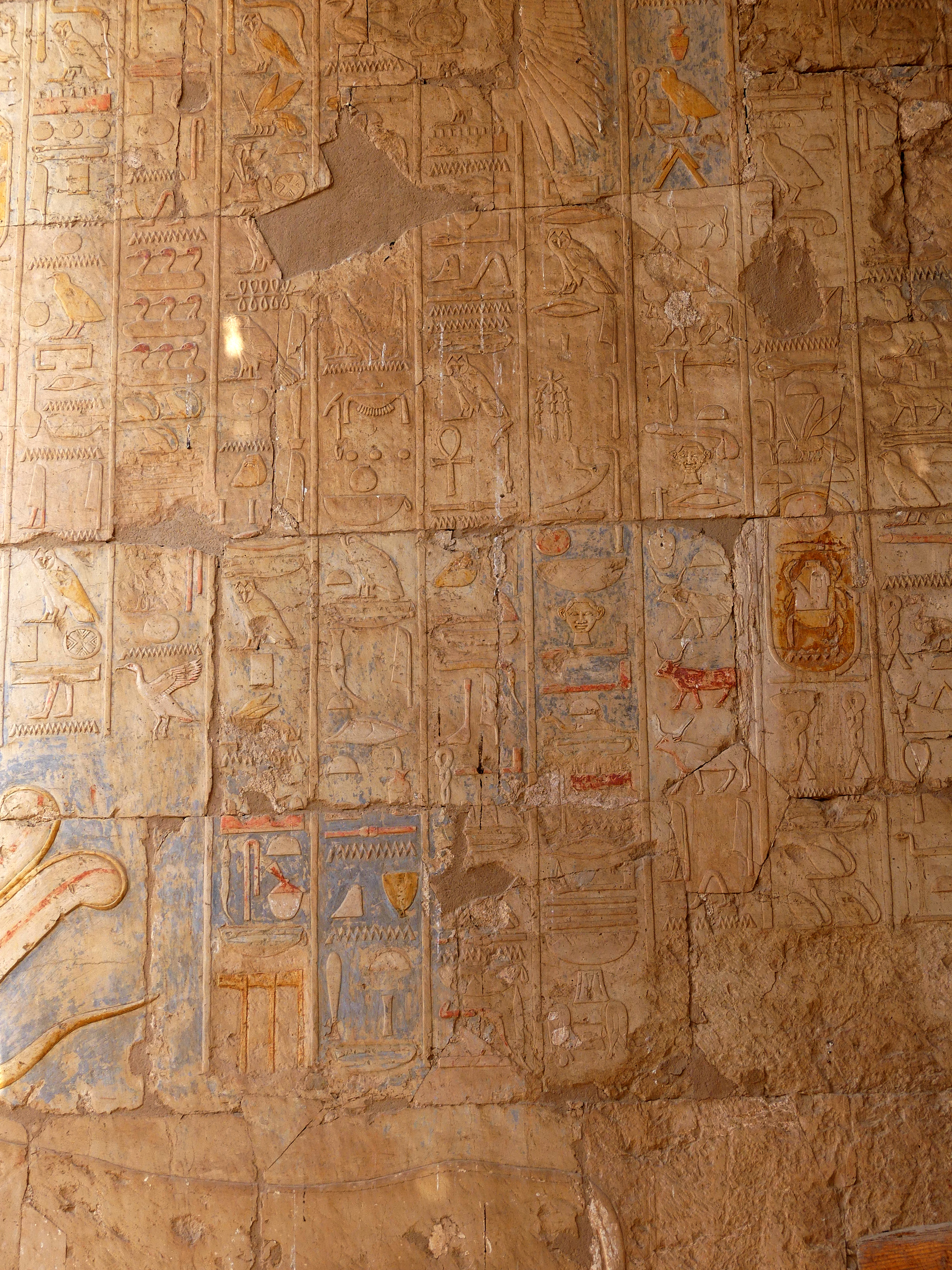 wall