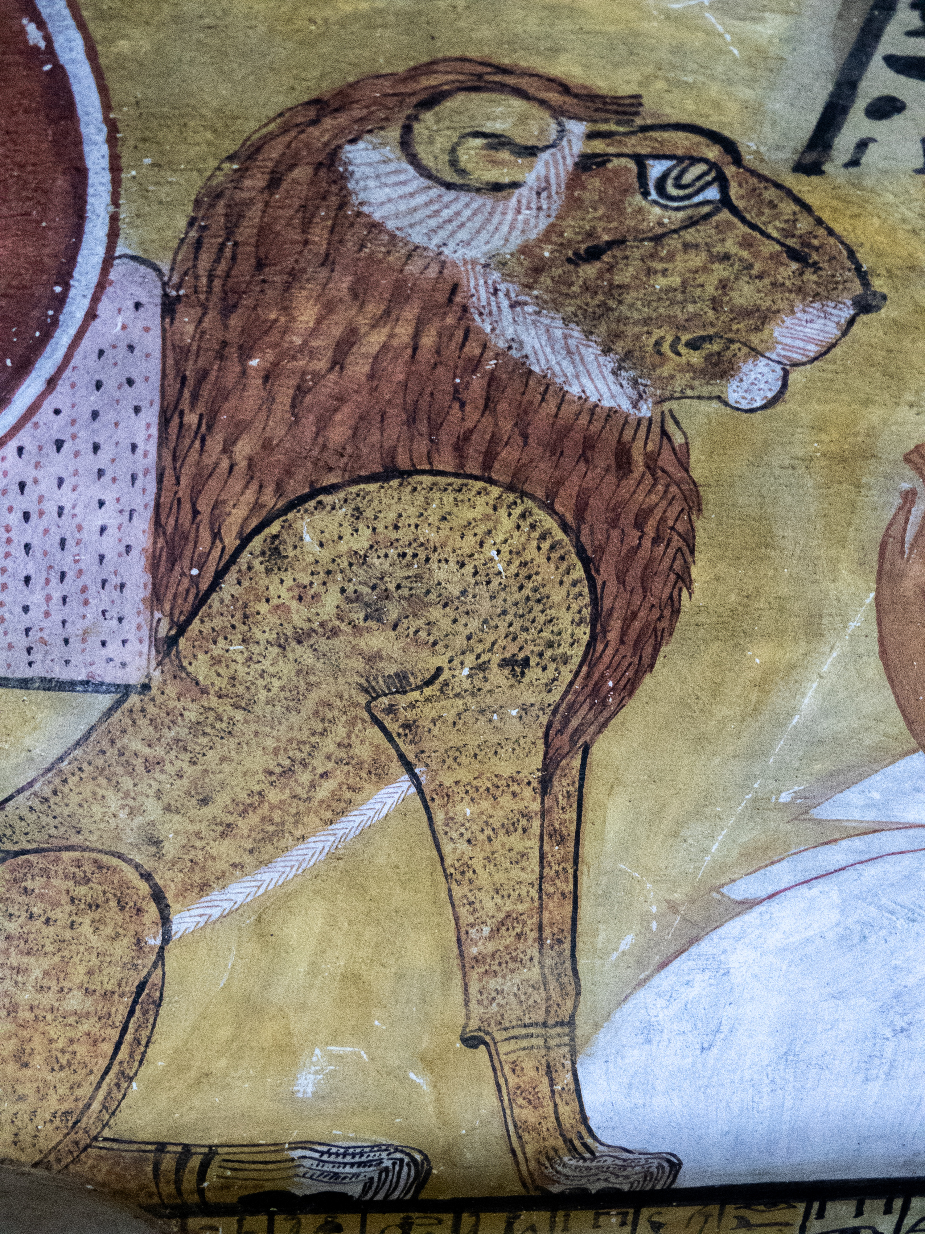 Inherkhau lion