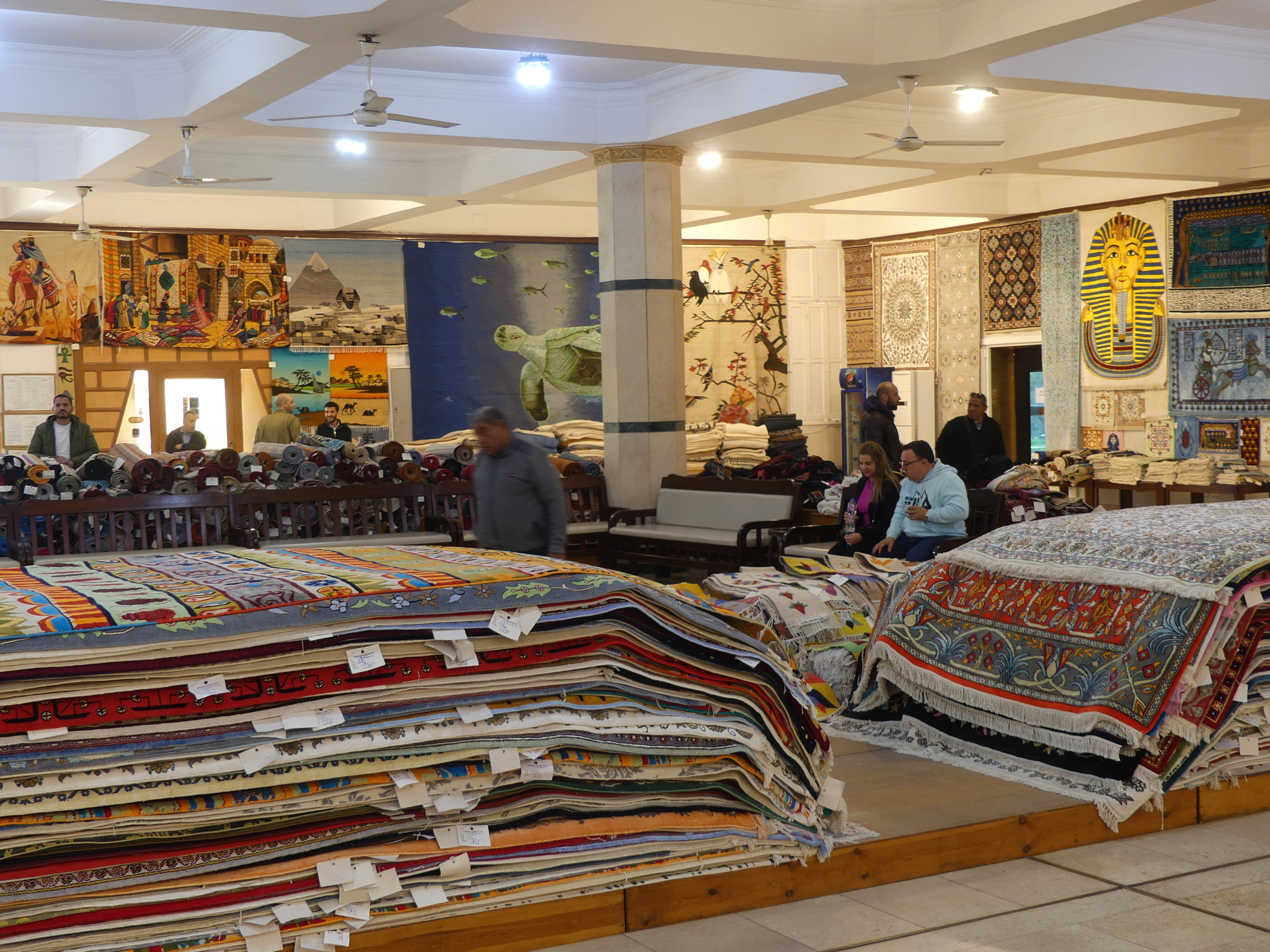 carpet school showroom