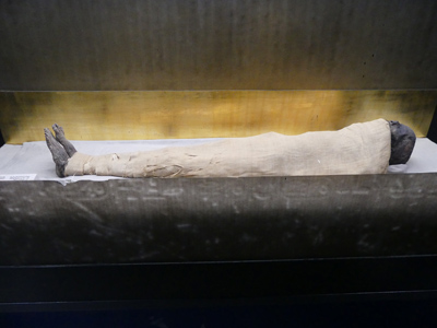 mummy