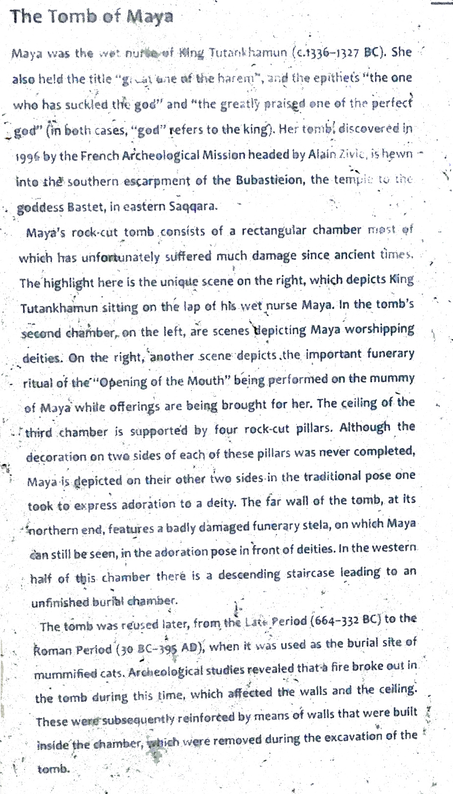 Maia text
