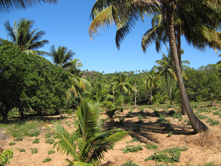 mozambique-scenery