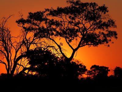 Okavango sunset