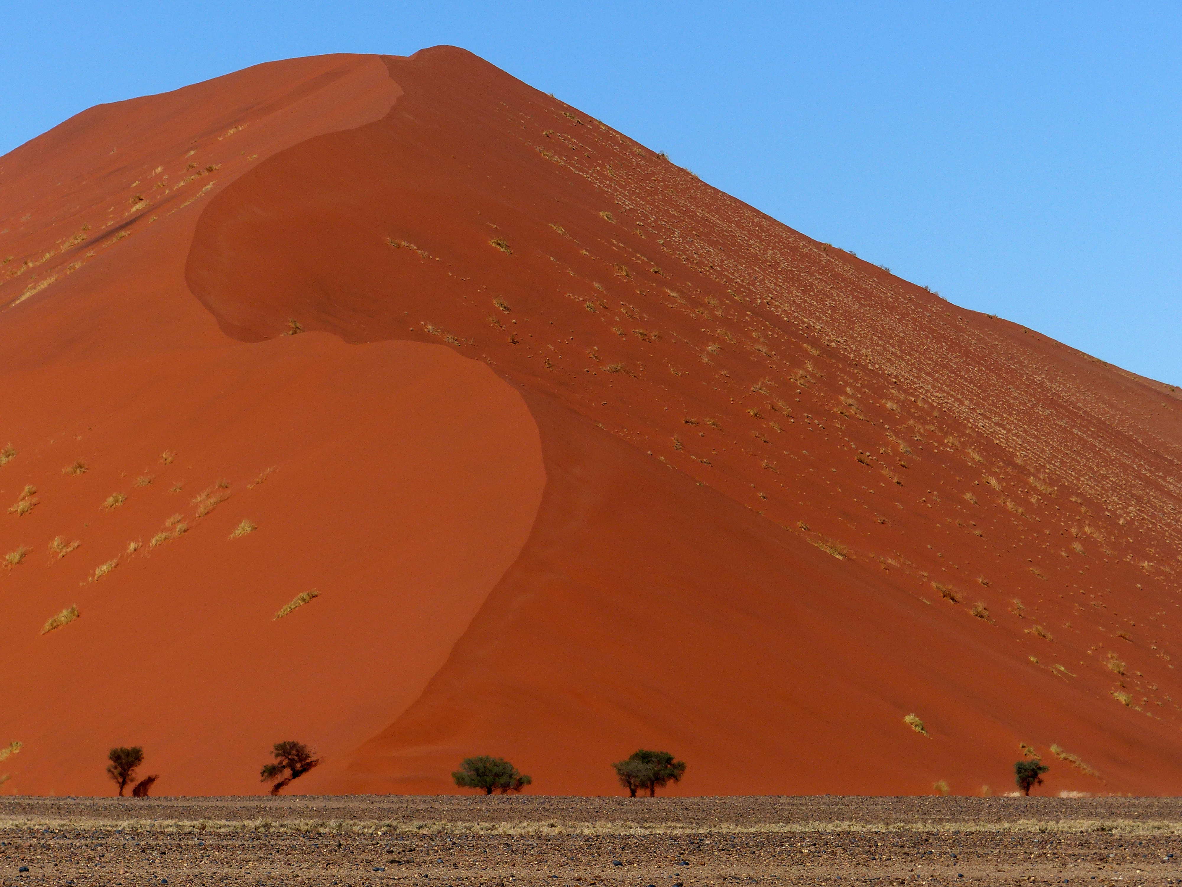 tall dune