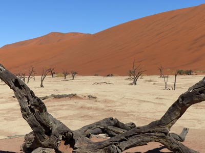 dead vlei