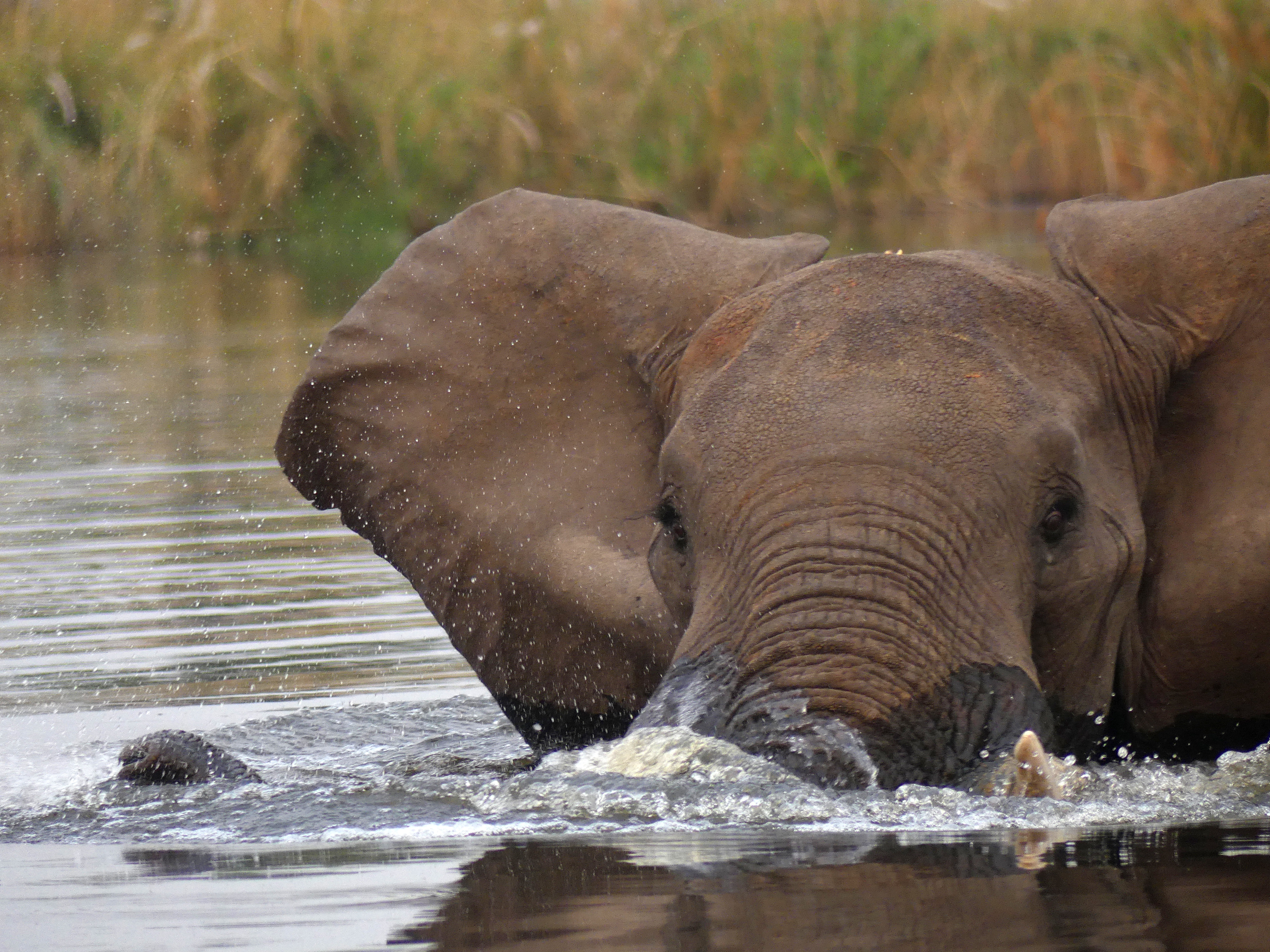 ele charging in water