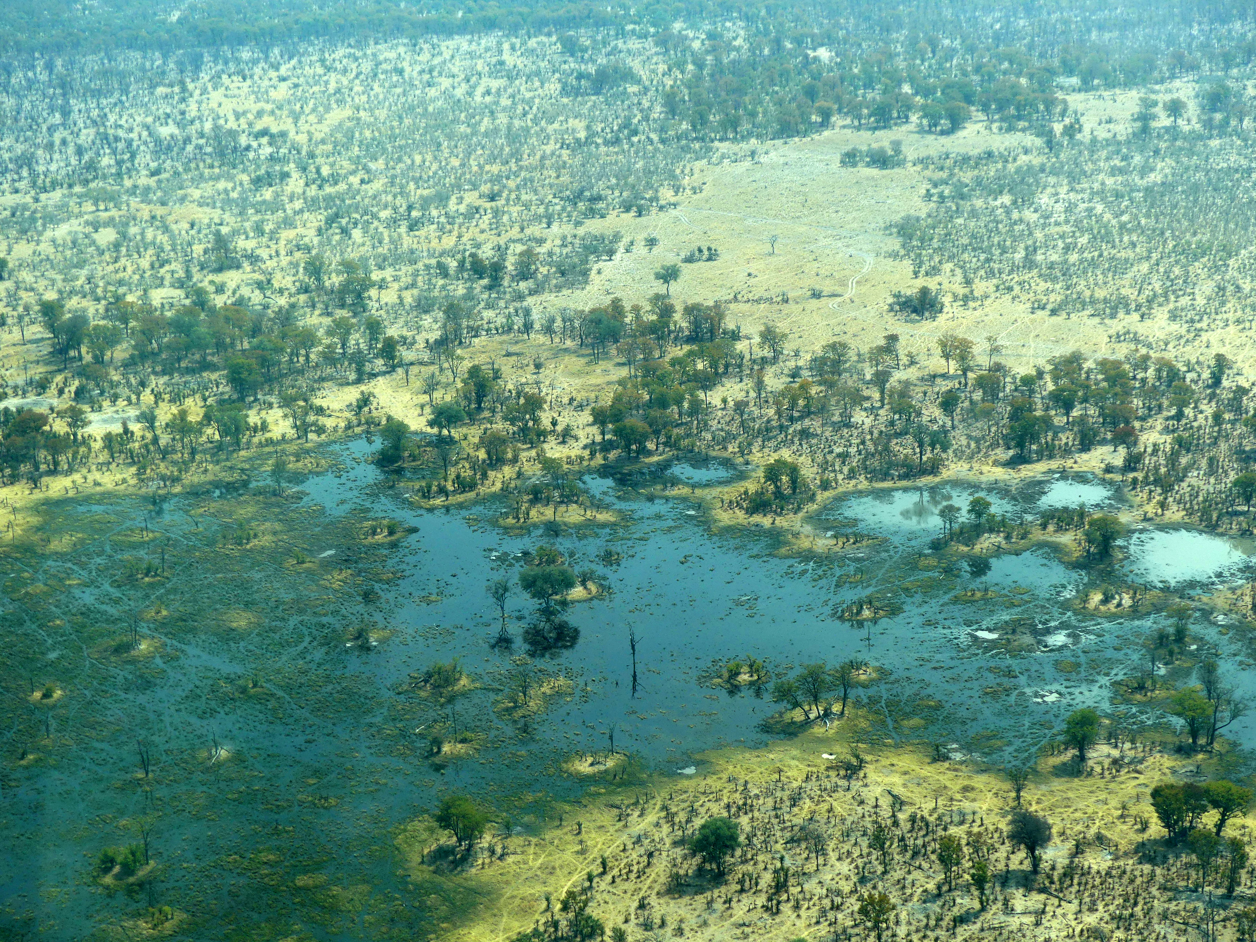 view from above
