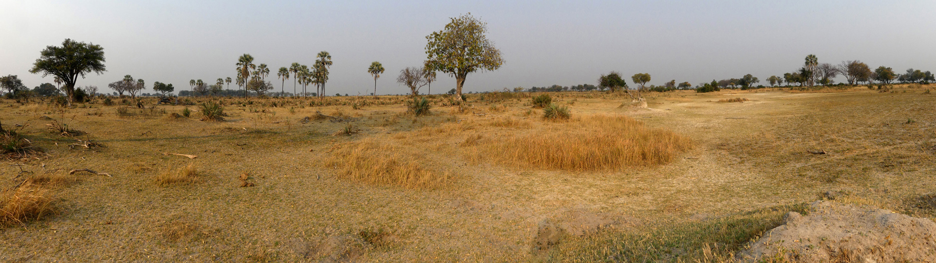 random panorama