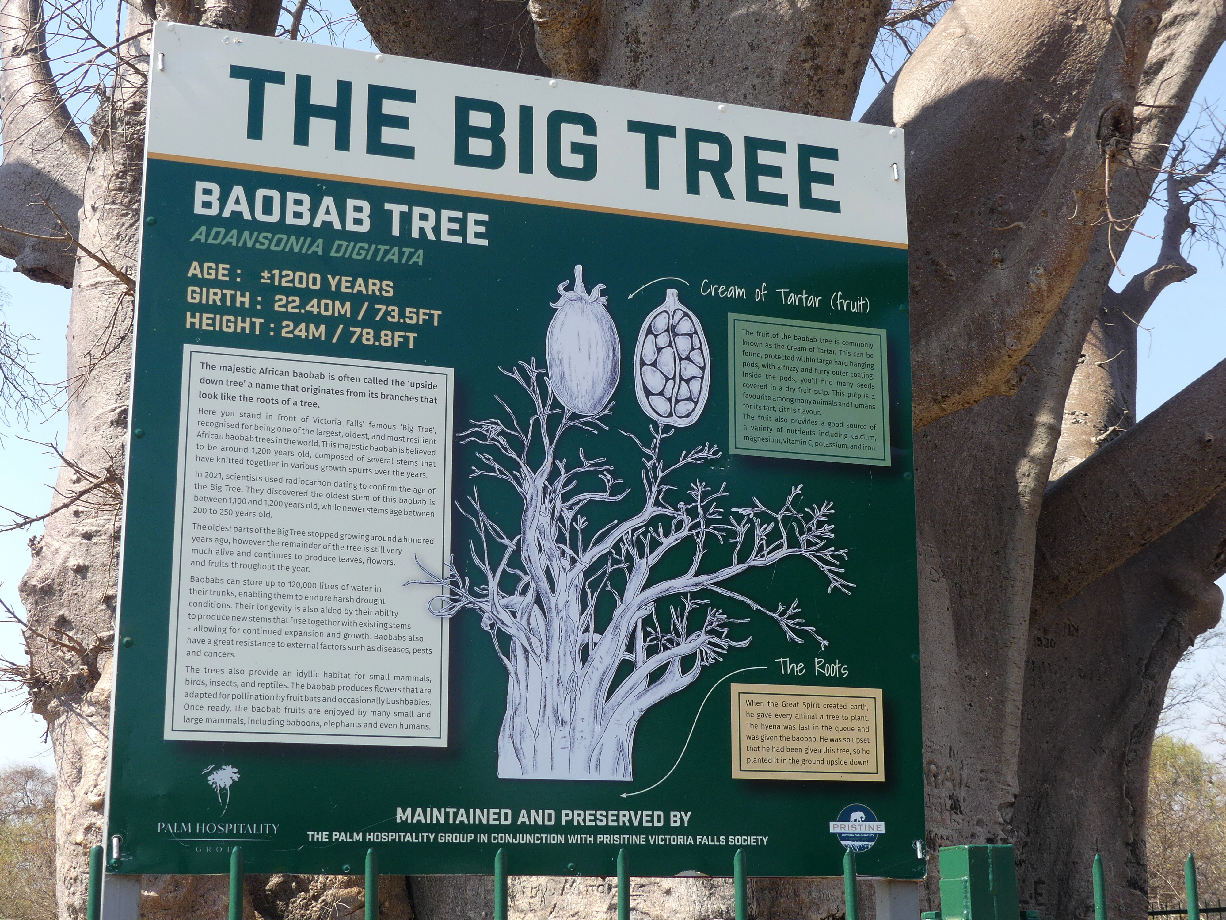 The Big Tree's sign