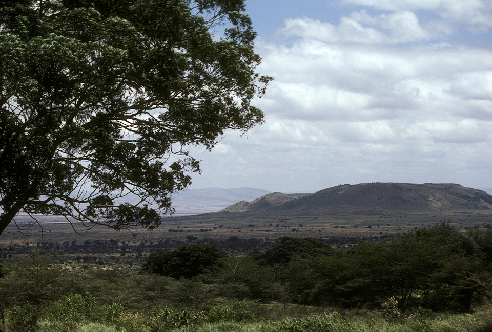 East African Plains