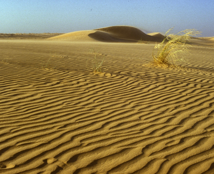 Sahara sand