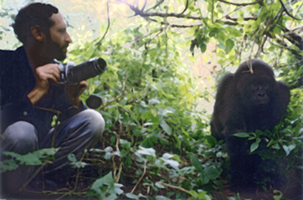 gorilla-website