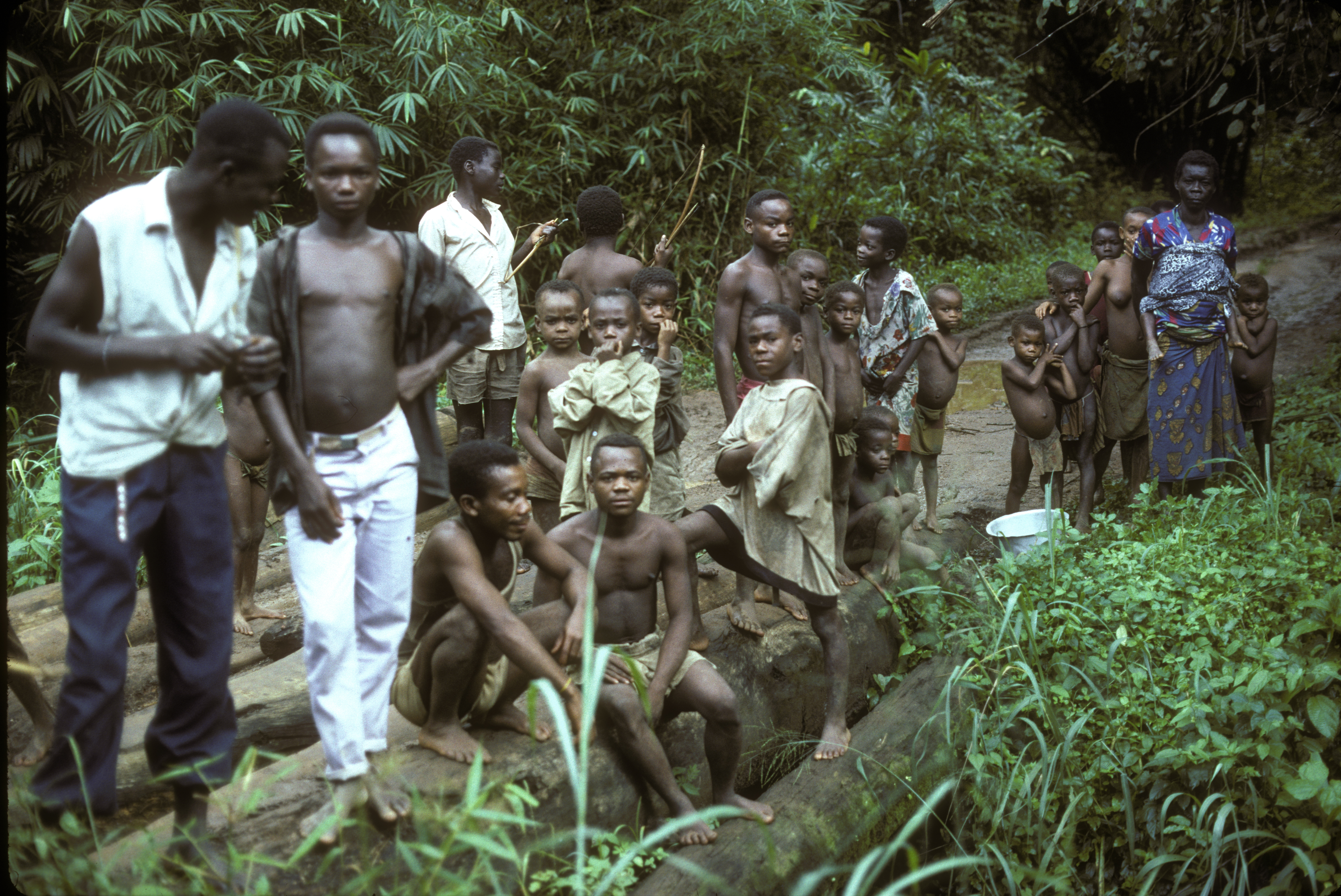faux pygmies at log bridge