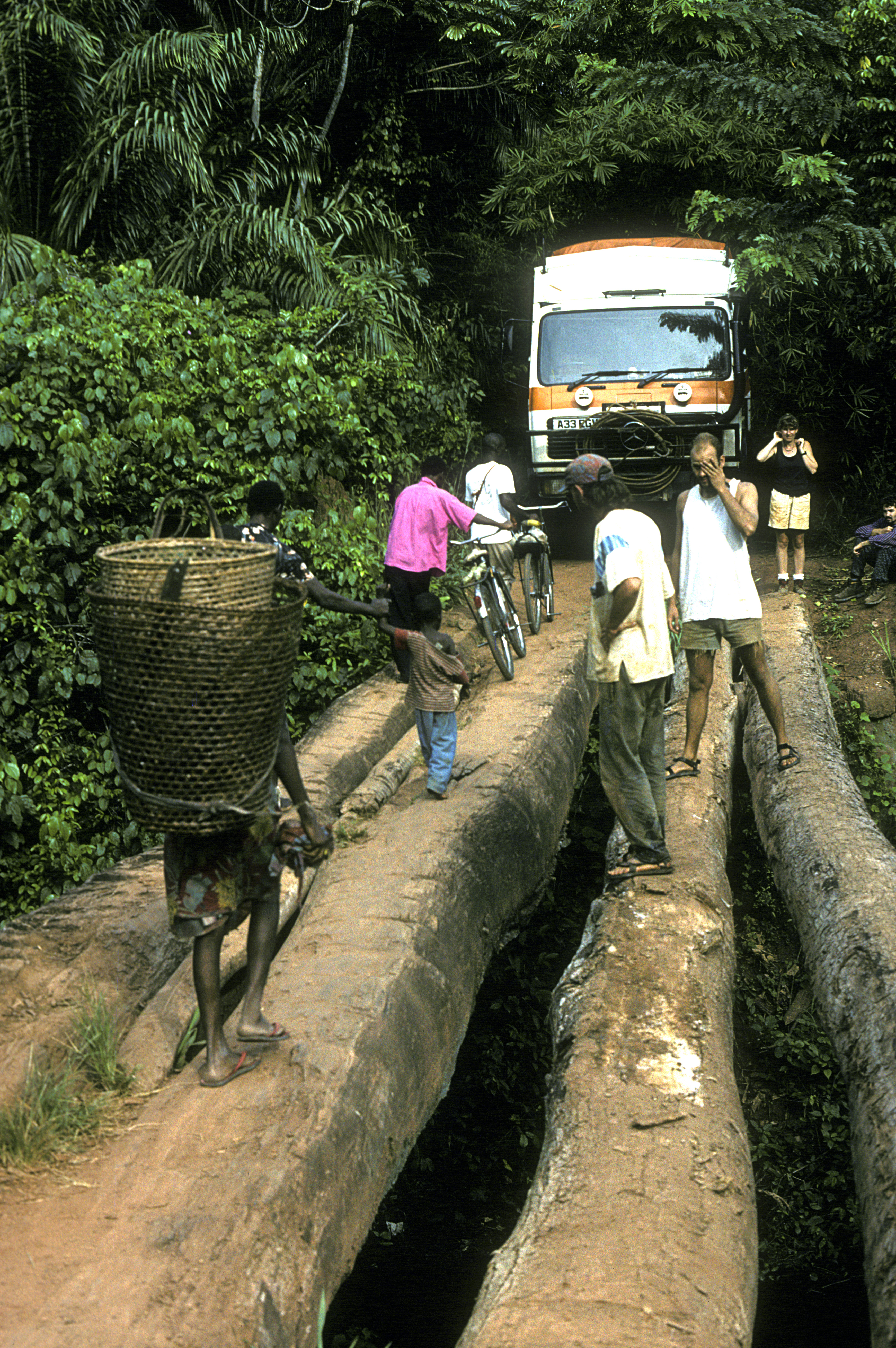 log bridge