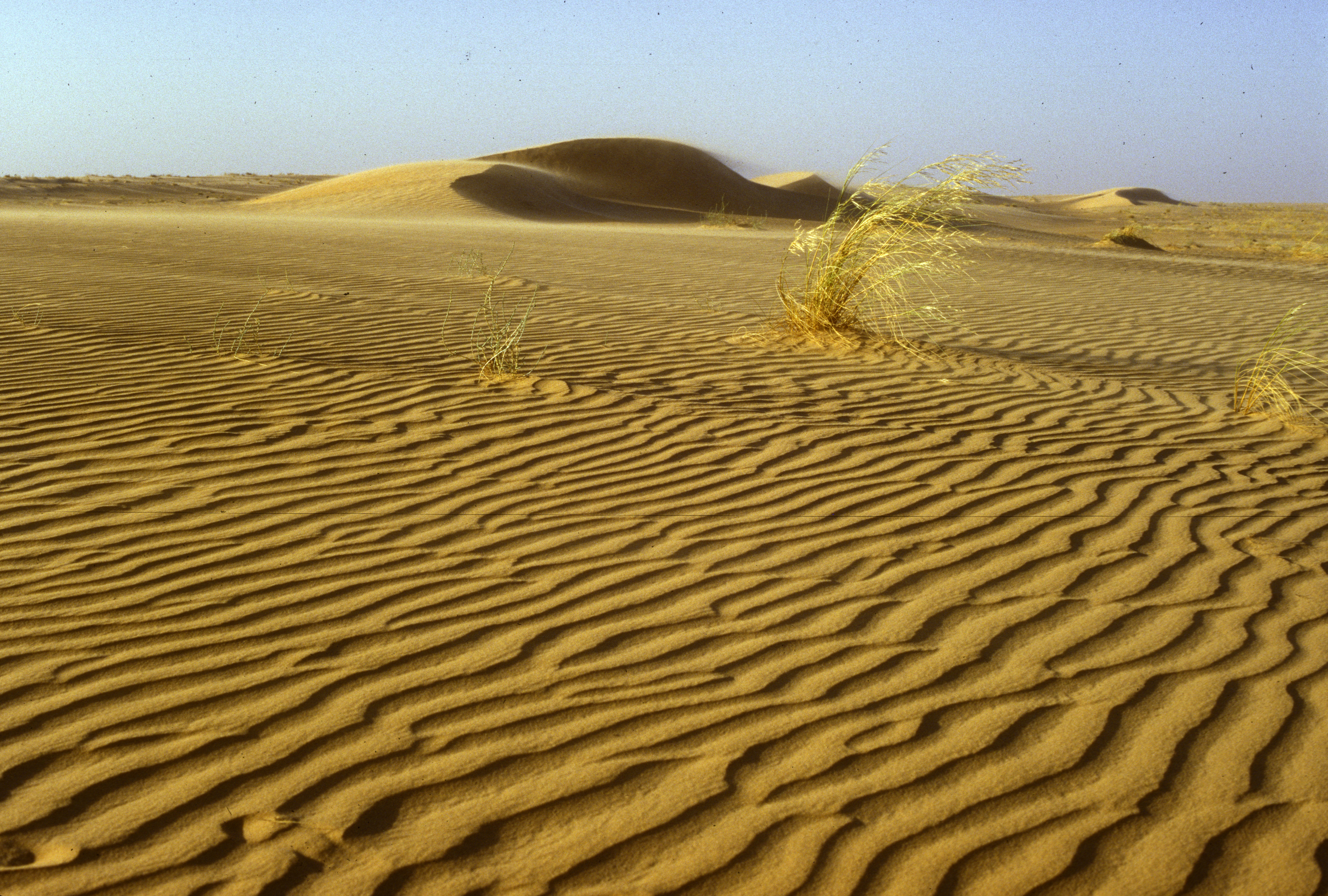 Sahara sand