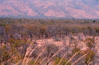 matusadona escarpment